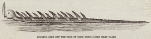 Monster seen off the Cape of Good Hope by English School