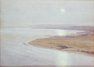 Moonlit Coastal Scene
