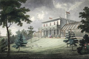 Mount Ararat, Wimbledon