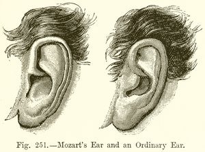 Mozart