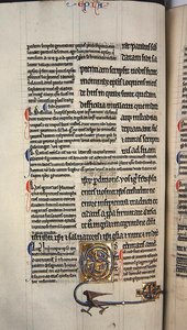 Page from a glossed copy of the New Testament