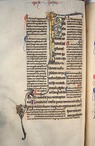 Page from a Glossed Copy of the New Testament by English School