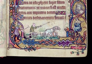 Ms 1-2005, ff.76v-77r: David and the fool, historiated initial from the Macclesfield Psalter, Use of Sarum, East Anglia, c.1330 (detail)