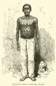Mundrucu Indian from the Amazon