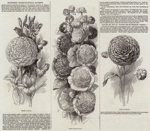 National Floricultural Society