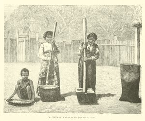 Natives of Madagascar Pounding Rice