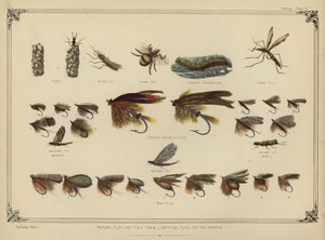 Natural Flies and Their Larvae, Artificial Flies for the Months