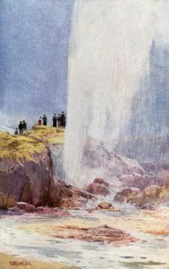 Wairoa Geyser, New Zealand