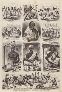 Nubians at the Zoological Garden of Dresden, Germany by English School