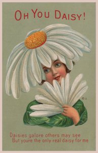 O You Daisy! by English School
