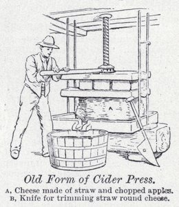 Old form of cider press by English School