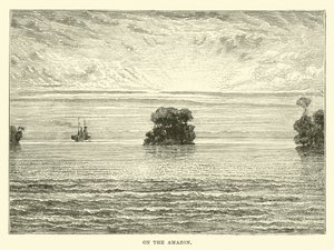 On the Amazon