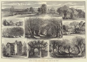 Opening of Epping Forest by the Queen, Views in the Forest by English School