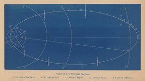 Orbit of the November Meteors