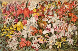 Orchid house