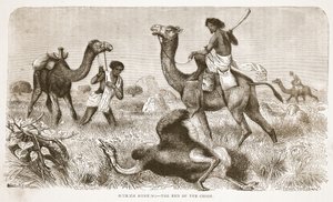 Ostrich hunting - the end of the chase, illustration from The Pictorial Edition of the Life and Discoveries of David Livingstone by J. Ewing Richie by English School