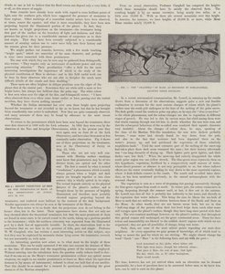 Our Near Neighbour, Mars by English School