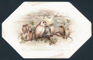 Owls Sitting on a Tree Branch by English School