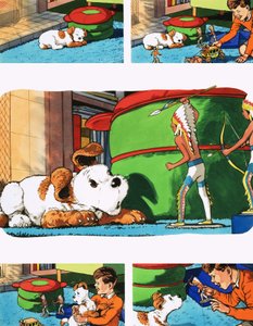 Paddy Paws by English School