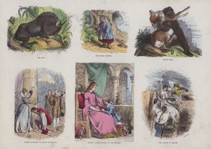 Page from the Attractive Picture Book by English School