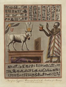 Part of an Egyptian Manuscript Found in the Swathing of a Mummy by English School