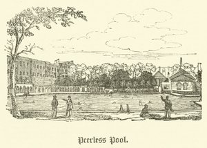 Peerless Pool by English School