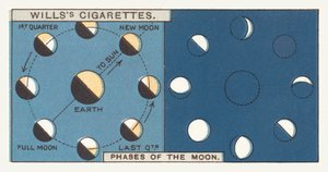 Phases of the Moon by English School