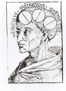Phrenology by English School