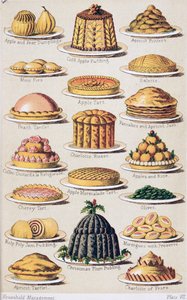 Plate VIII from 