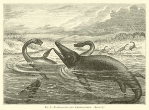 Plesiosaurus and Ichthyosaurus by English School