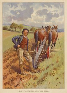 Ploughman and His Team by English School