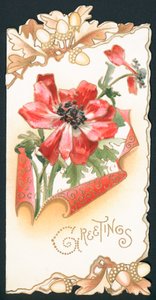 Poppy with Acorns by English School