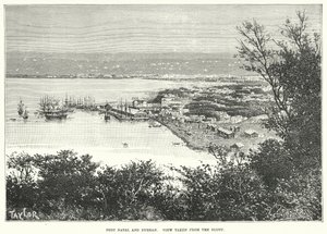 Port Natal and Durban. View taken from the Bluff