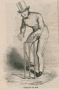Portrait of Box by English School