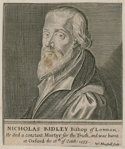 Portrait of Nicholas Ridley by English School