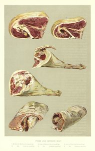 Prime and Inferior Meat by English School