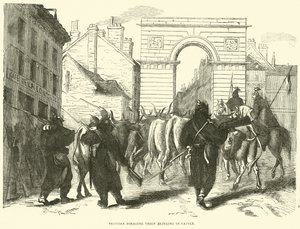 Prussian Foraging Troop Bringing in Cattle, October 1870 by English School