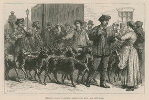 Pyrenean Goats in London by English School