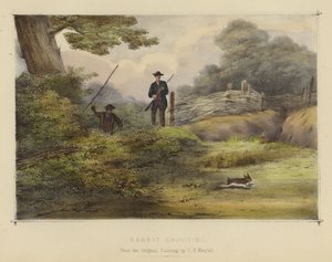 Rabbit Shooting (colour litho) by English School