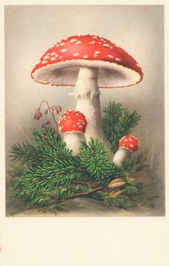 Red-Capped Toadstools by English School