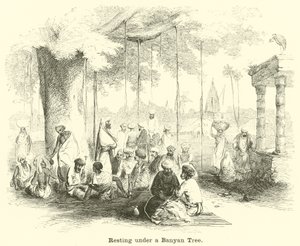 Resting Under a Banyan Tree by English School
