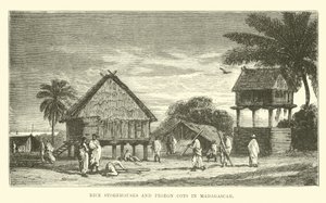 Rice Storehouses and Pigeon Cots in Madagascar by English School