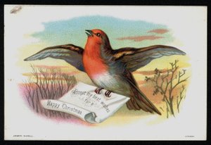 Robin with a Christmas Message, Greetings Card by English School