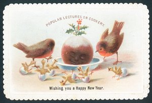 Robins and chicks looking at smiling plum pudding