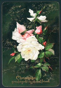 Roses by English School