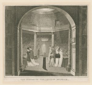 Rotunda at the Leverian Museum by English School