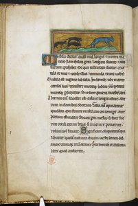 Mice chasing a cat, from Bestiary, Lapidary by English School