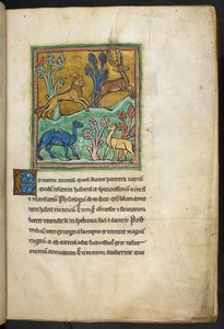 A leopard chasing a stag, with a camel and another animal, from Bestiary, Lapidary