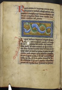 Anguis, from 