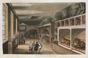 Royal menagerie, Exeter (Change Exchange), Strand. Select views of London: with historical and descriptive sketches of some of the most interesting of the public buildings compiled and arranged by J.B. Papworth by English School